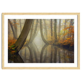 Bent trees in autumn thumbnail