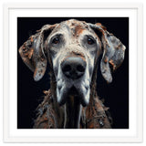 Old Dog 04 thumbnail