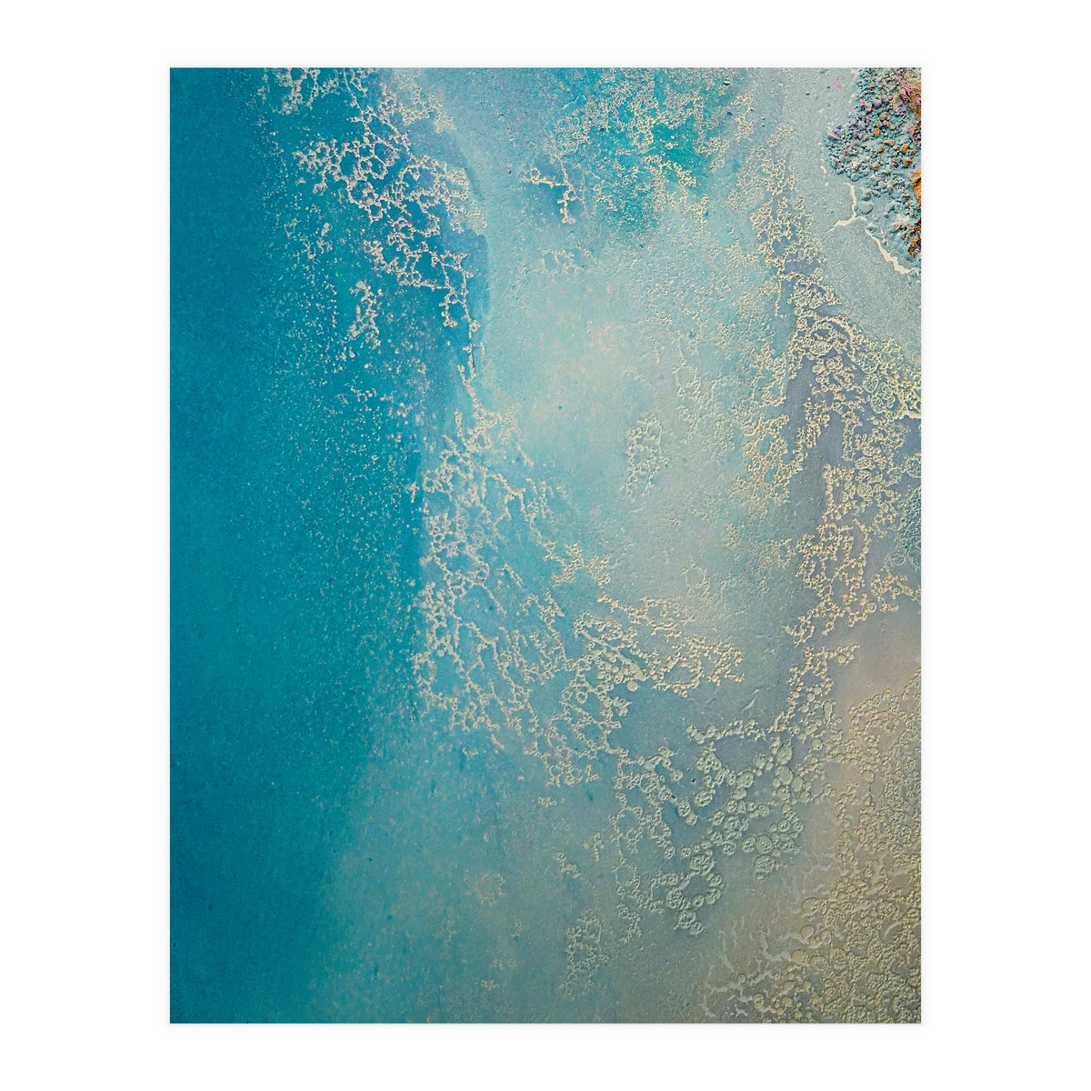 Shallow Waters (Print Only)