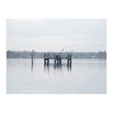 Birds rest in the Lake (Print Only) thumbnail