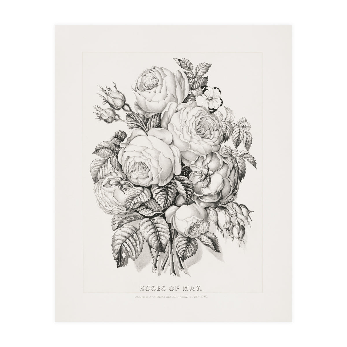 Currier & Ives – Rose of May (1870) (Print Only)