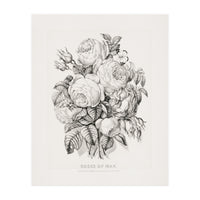 Currier & Ives – Rose of May (1870) (Print Only)