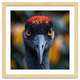 Close Up Of A Strikingly Beautiful Bird Face thumbnail