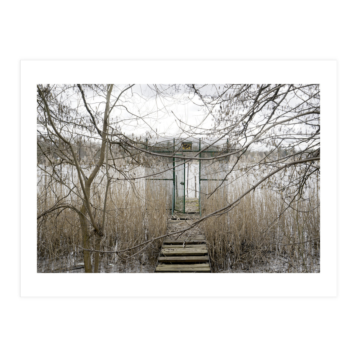 The gate to the lake (Print Only)