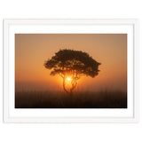 Tree at sunrise thumbnail