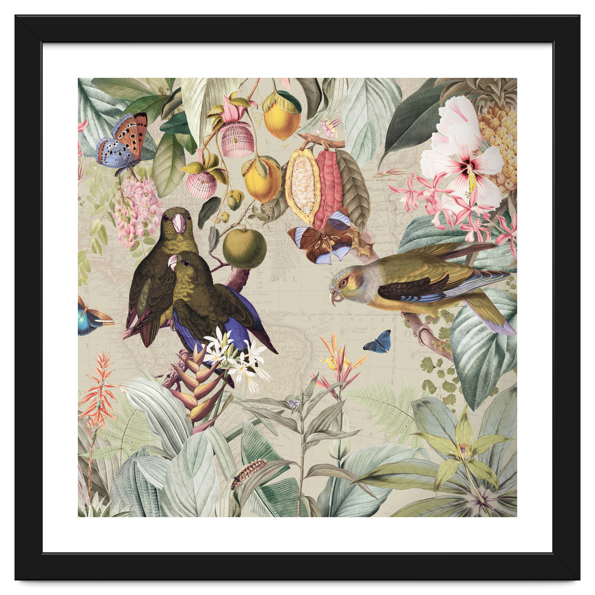 Colorful Parrots And Butterflies In Flower And Fruit Tropical Jungle