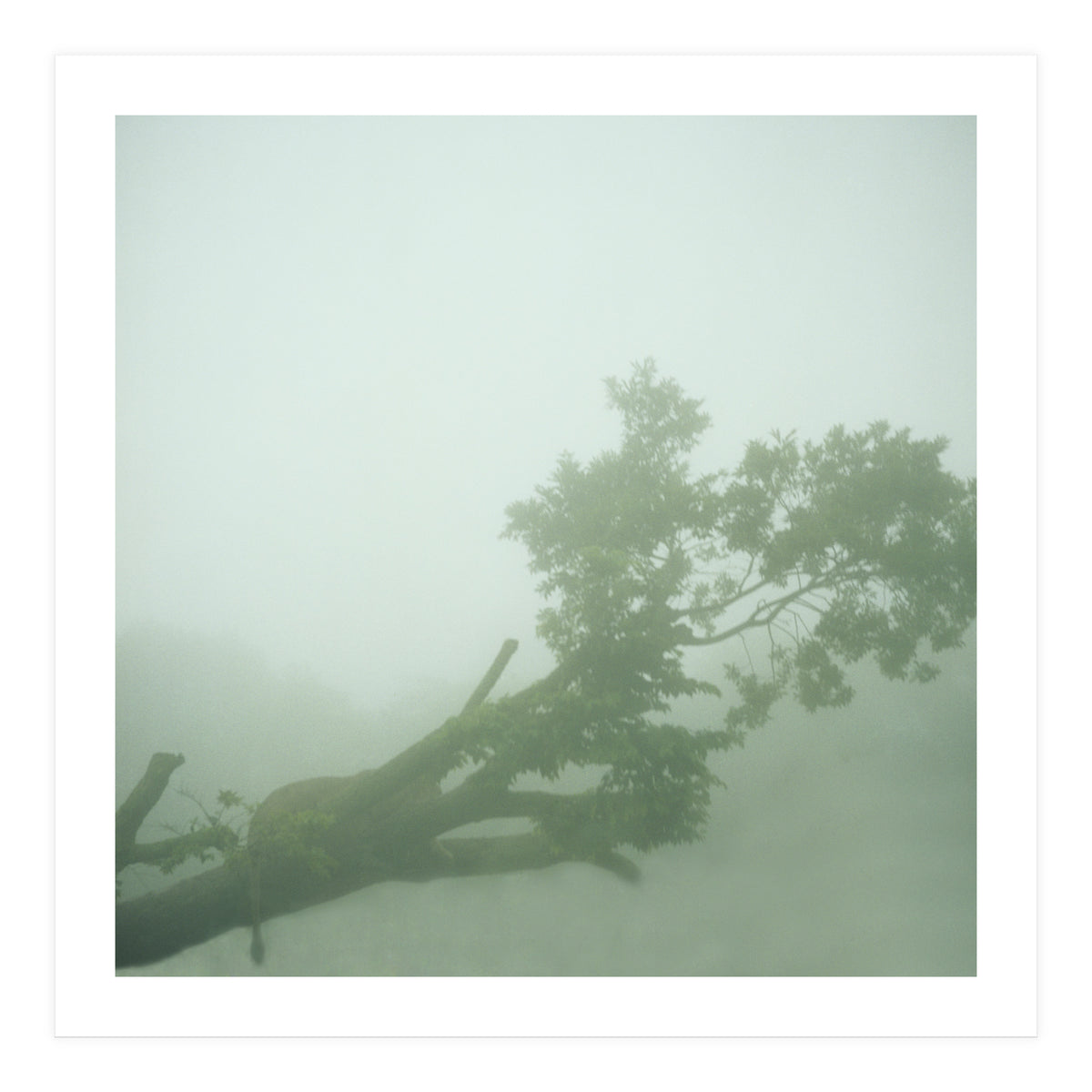 Silence of breath - 07 (Print Only)