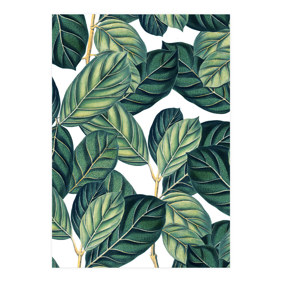 Botany #society6 #decor #buyart (Print Only)