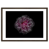 Backyard Flowers No 116 Color Version thumbnail