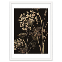 Wildflowers I