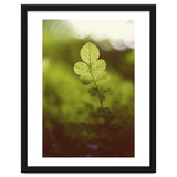 Out of the green thumbnail