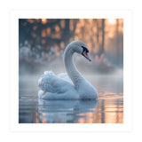 Serene White Swan Gliding On Misty Water (Print Only) thumbnail