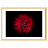 Backyard Flowers No 45 Color Flow Version thumbnail