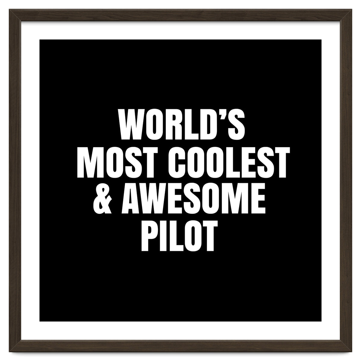 World's most coolest and awesome pilot