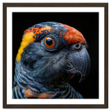 Close Up Of A Colorful Parrot Bird's Head thumbnail