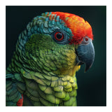 Close Up Colorful Parrot Bird Feather (Print Only) thumbnail