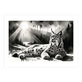 Lynx Resting In Sunlight (Print Only) thumbnail