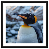 King Penguin In The Snow With Frosty Head thumbnail
