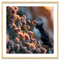 Puffin Bird On Rocks Near Pink Flowers At Sunset