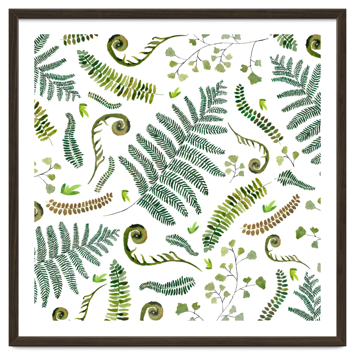 Spring Fern Pattern