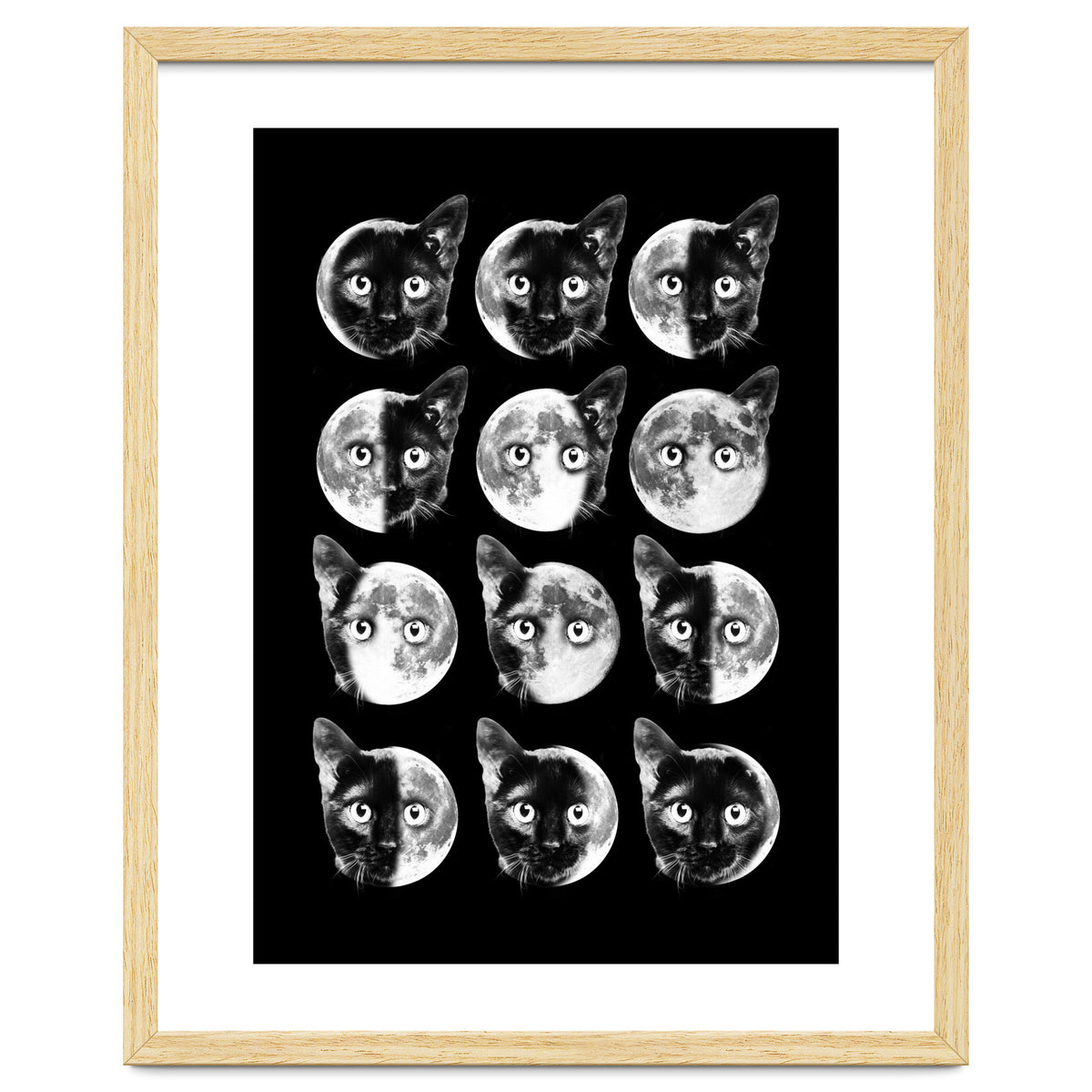 Cat Moon Phases