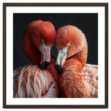 Close Up Of Two Flamingos Nuzzling Together thumbnail