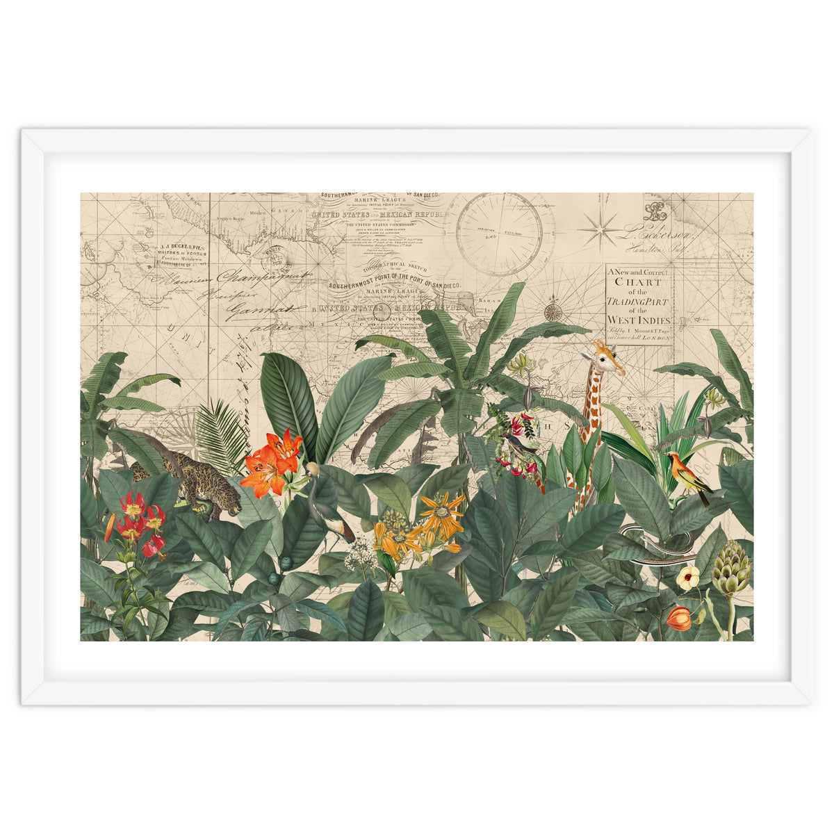 Explore The New World Wild Animals