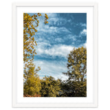 Autumn Evening thumbnail