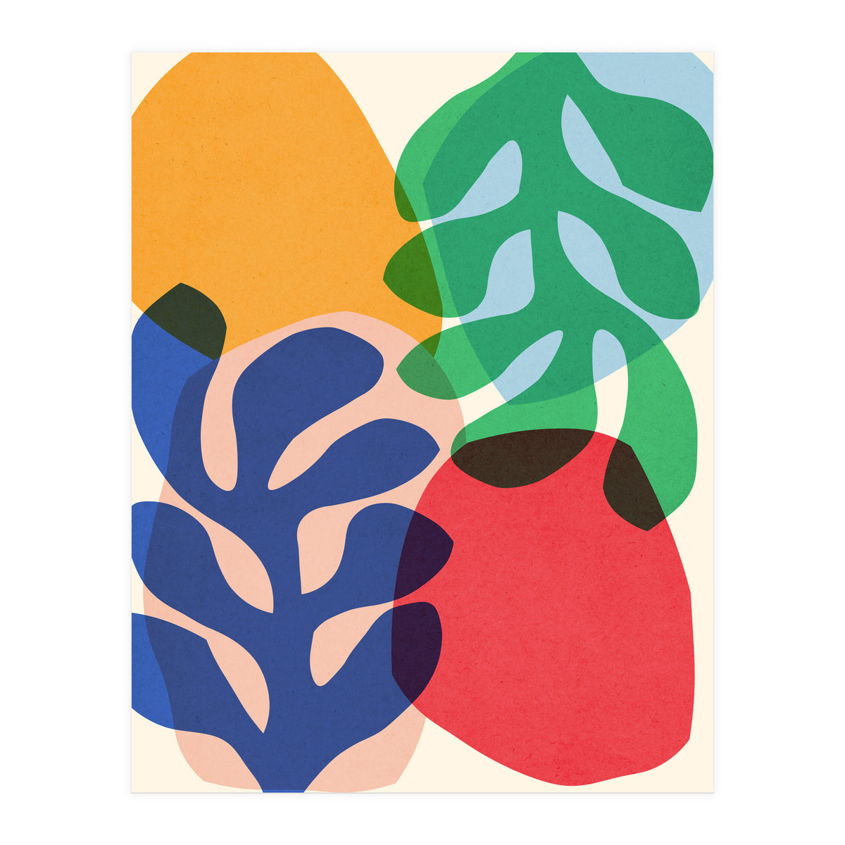 Floral matisse 7 (Print Only)