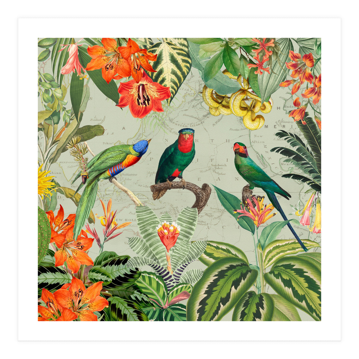 Exotic Parrots Jungle Landscape (Print Only)