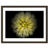 Backyard Flowers No 86 Color Flow Version thumbnail