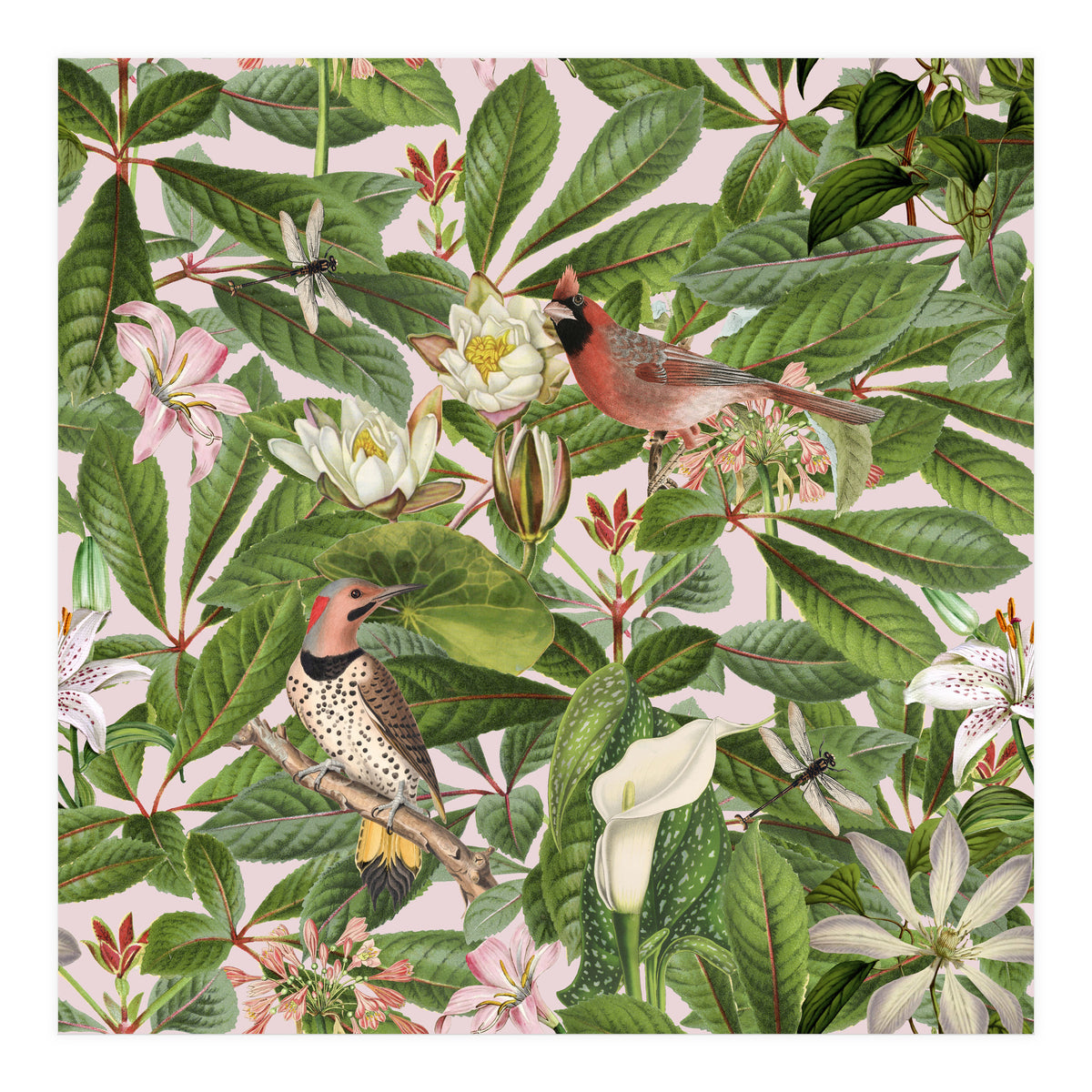 Tropical Bird Garden (Print Only)
