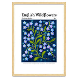 English Wildflowers | Forget-Me-Not thumbnail