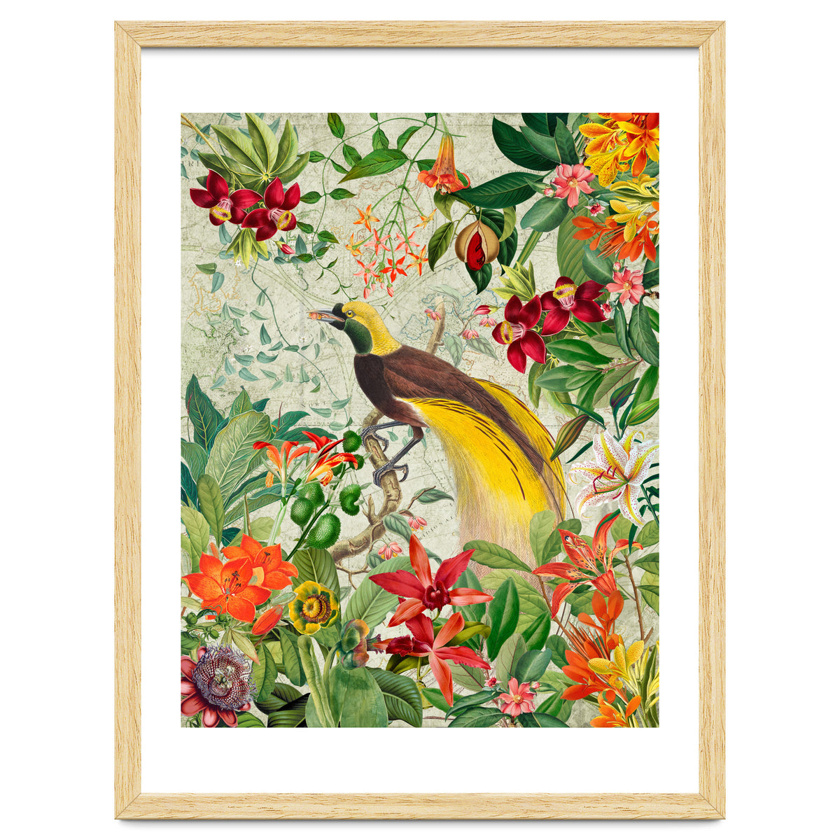 Bird of paradise vintage jungle