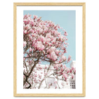 Spring Time