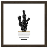 Black Cactus thumbnail