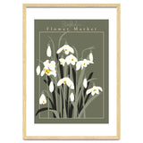 Flower Market Stockholm  Snowdrop thumbnail