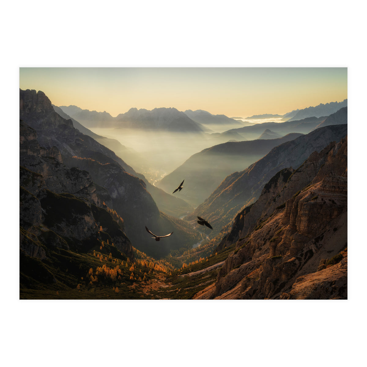 Fly away (Print Only)