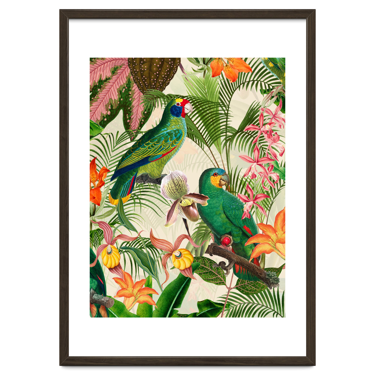 Parrots in tropical Jungle