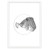 The Fascinating Cuttlefish thumbnail