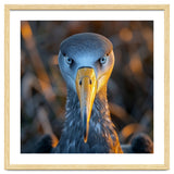 Great Blue Heron Closeup Dramatic Portrait thumbnail