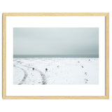 Seagulls in the winter snow beach thumbnail