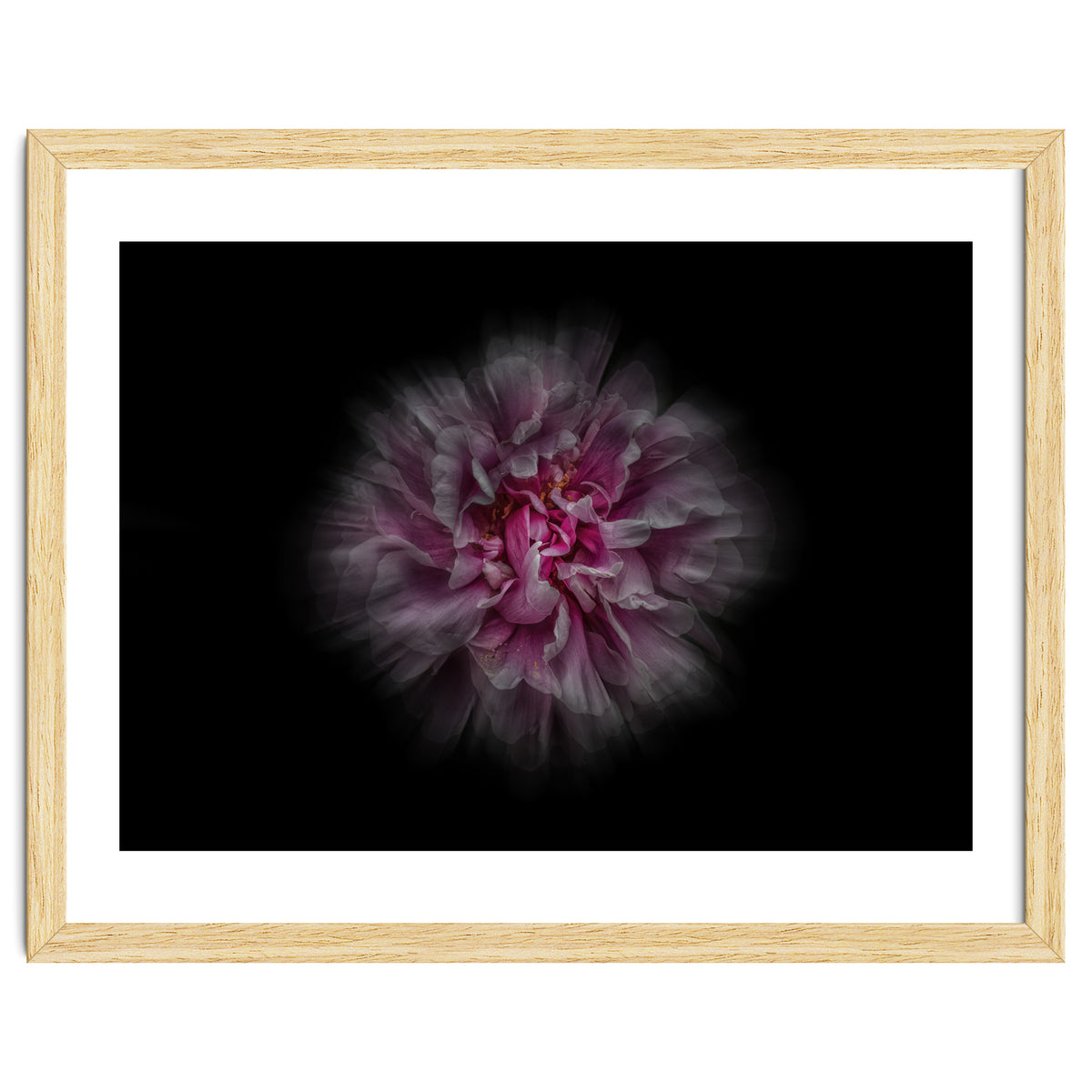 Backyard Flowers No 116 Color Flow Version