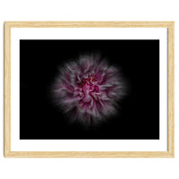 Backyard Flowers No 116 Color Flow Version