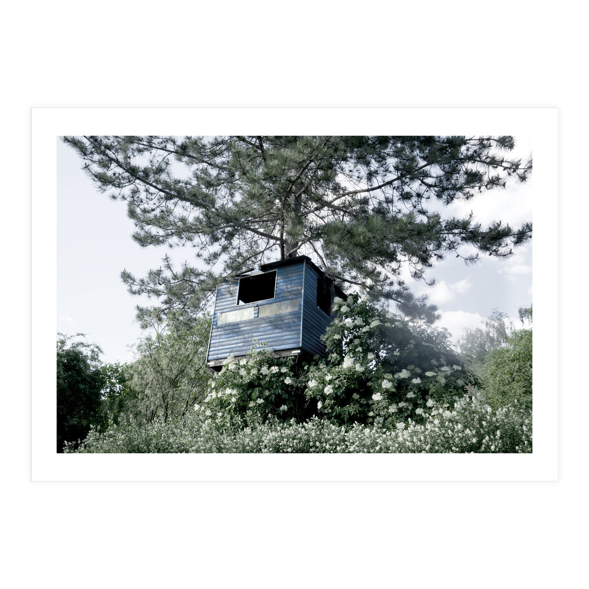 Blue hut on the tree (Print Only)