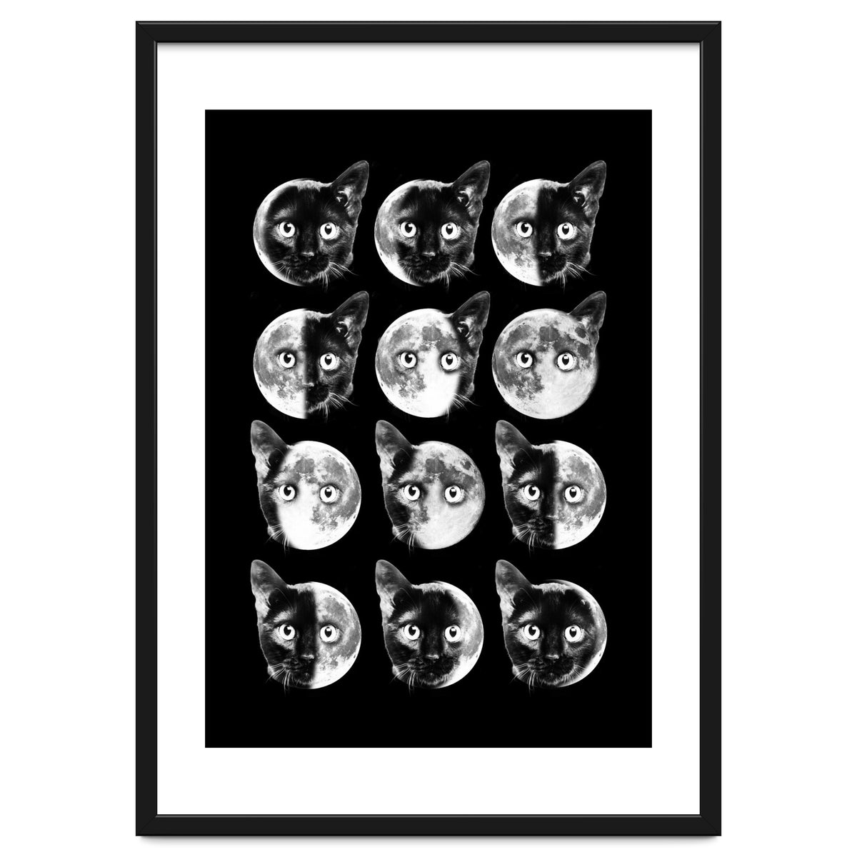 Cat Moon Phases