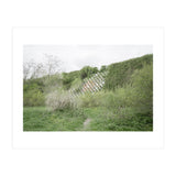 Green grass wall (Print Only) thumbnail