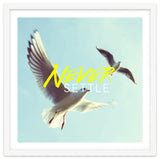 Never Settle thumbnail