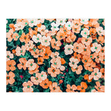 Floral Bliss, Nature Photography Garden Meadow, Blush Orange Coral Summer Flowers Botanical (Print Only) thumbnail