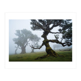 Forest queen (Print Only) thumbnail
